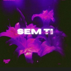 SEM TI