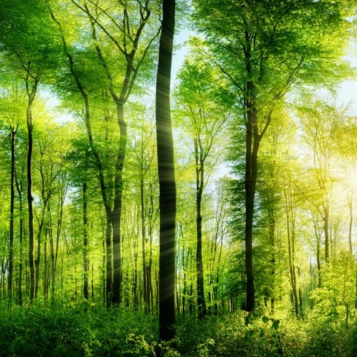 えええええええええええええ background music games (FREE DOWNLOAD)