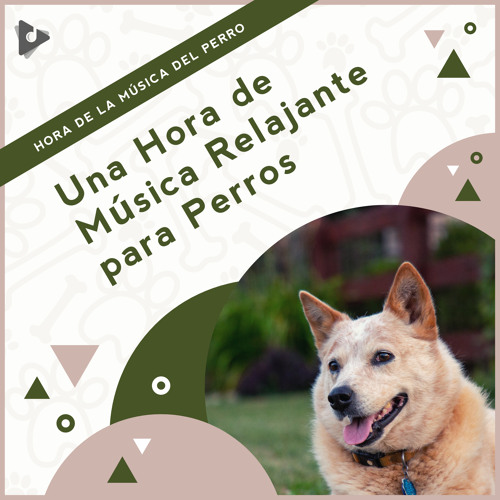 Stream Sonidos suaves para cachorros by Hora de la Música del Perro |  Listen online for free on SoundCloud