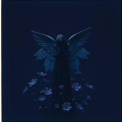 The Dark Angel