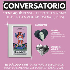 Presentación del libro FEMS AQUÍ!