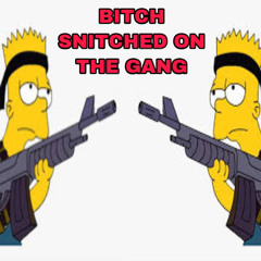 BITCH SNITCHED ON THE GANG (ft pgm spazz)