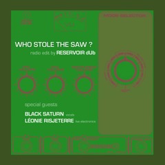 Who Stole The Saw ? [radio edit] feat. Black Saturn & Léonie Risjeterre