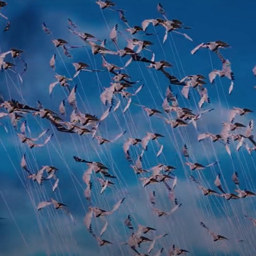 Stream Pogo - Forget (Slowed) By Vezal | Listen Online For Free On.