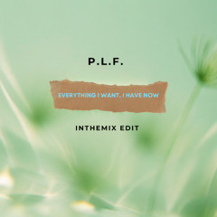 P.L.F. - Everything I Want, I Have Now (InTheMix Edit)