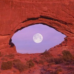 soulection discord 500 celebration mix