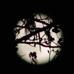 This is Analogue, Not AI