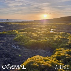 ARISE LP