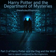 Department of Mysteries: Part 2 by thewholeofthemoon | Harry Potter and the Dog and the Wolf: Part 3