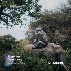 Victor Arruda, Dutra - Elephant Symphony (Original Mix)Snippet