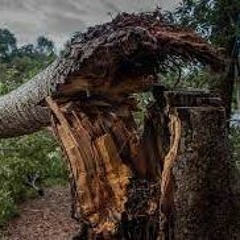 Underchunk - Tree the broken
