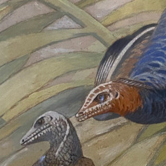 Pony Hair [v15.1 oct'25]