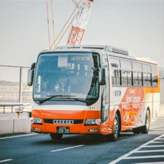 Review Special Price Airport Limousine Bus Transfers Fromto Narita And Haneda International