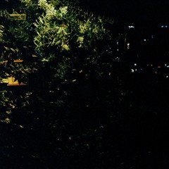 세탁소 [유라]