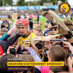 Wexford's Bittersweet Symphony | Wexford Close Season with Kilkenny Win | Season Review with Des Mythen