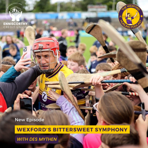 Wexford's Bittersweet Symphony | Wexford Close Season with Kilkenny Win | Season Review with Des Mythen