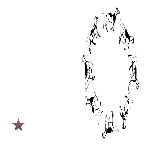 David Jackson - Mega Murphy's