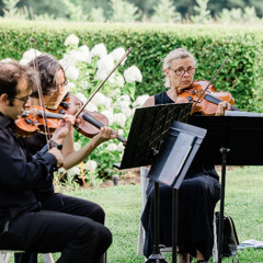 Jesus of Suburbia - Green Day (string cover)