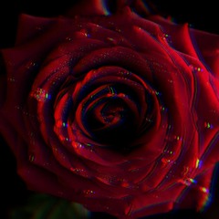 Thorns Ft. Hikari (prod. Demi Ichiban)