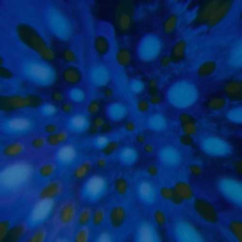 MEDICINE - Jordan Whitlock (Echolocation Remix)
