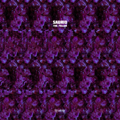 CF Premiere: Saurio - Arcturians [Hxagrm Records]