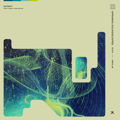 SPINNING SOUNDSCAPES 004 - Nimja