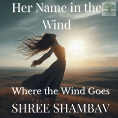 A12 - 08 - Where the Wind Goes