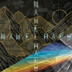 The Future - Nawel Mapu