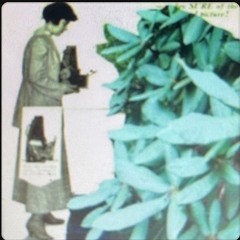 Fleurwatcher {ft.ѪȺЯłⱠұи Ѫⱥ₦₴Øи}
