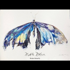 Broken Butterfly