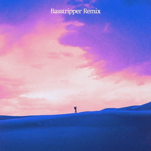 Artwork for the song Netsky - Hell In High Heels (Basstripper Remix) by Basstripper on Next Sound