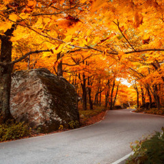 Untitled Mix Series - 010 - October 2025