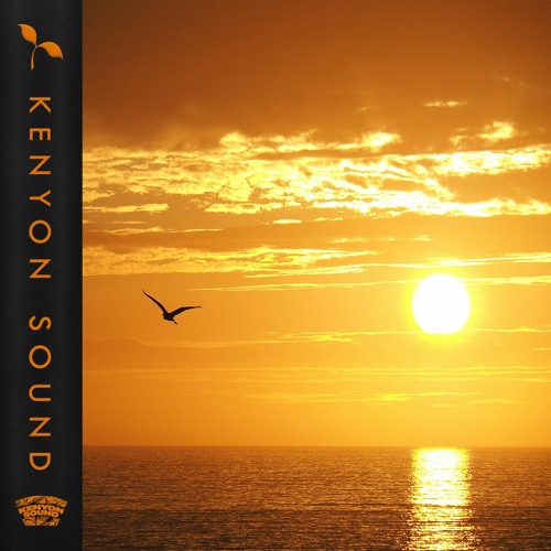 Manny Dubbs - Forest Bop