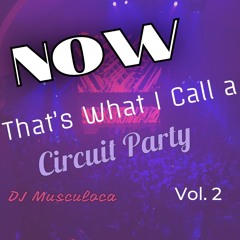 Now That's What I Call a Circuit Party, Vol. 2