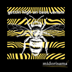 midorisama - getting high on bees venom