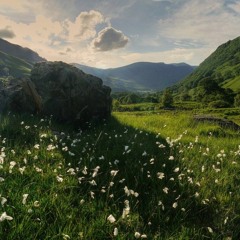 سورة طه