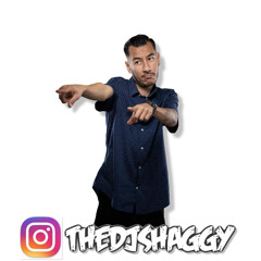 PARTY MIX THEDJSHAGGY