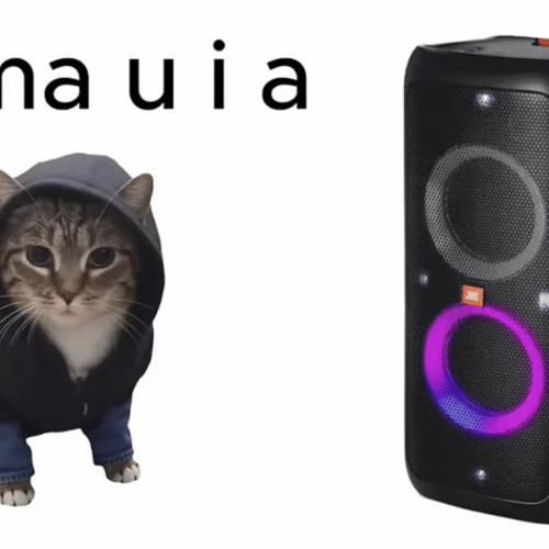 U II A IO UI A I O CAT MEME x Sigma Boy
