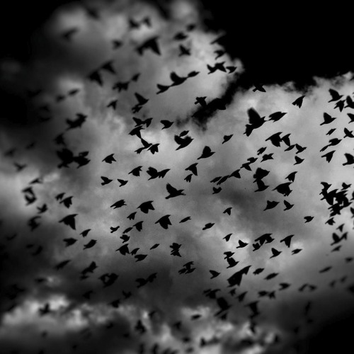 Void (felt piano version)