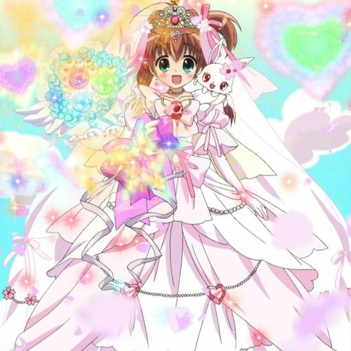 쥬얼펫 트윙클 오프닝