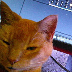 Nothing change or I forgot (Be like)