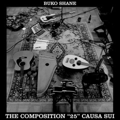 25 (The Composition Causa Sui)