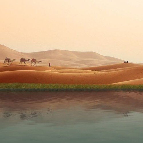 Oasis