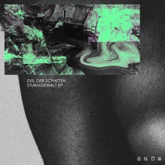 Exil der Schatten - Sturmgewalt (Rezystor Remix) [T004 | Premiere]
