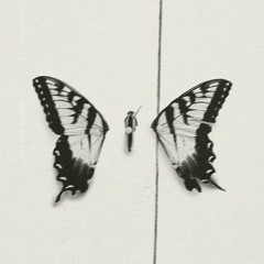 Paramore - The Only Exception (cover by @specialjhe)