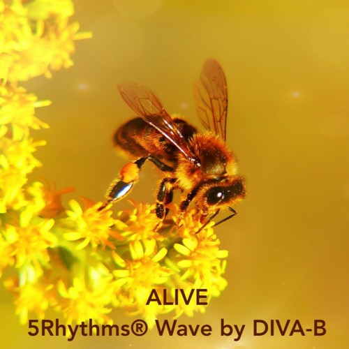 ALIVE 5Rhythms® Wave