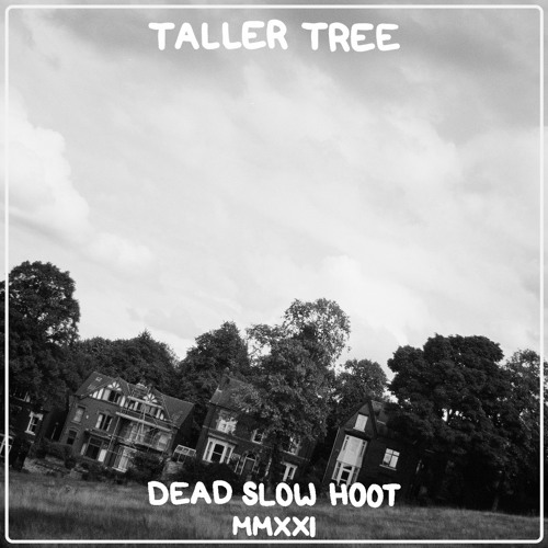 Taller Tree