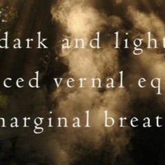 Dark and Light_Naviarhaiku482