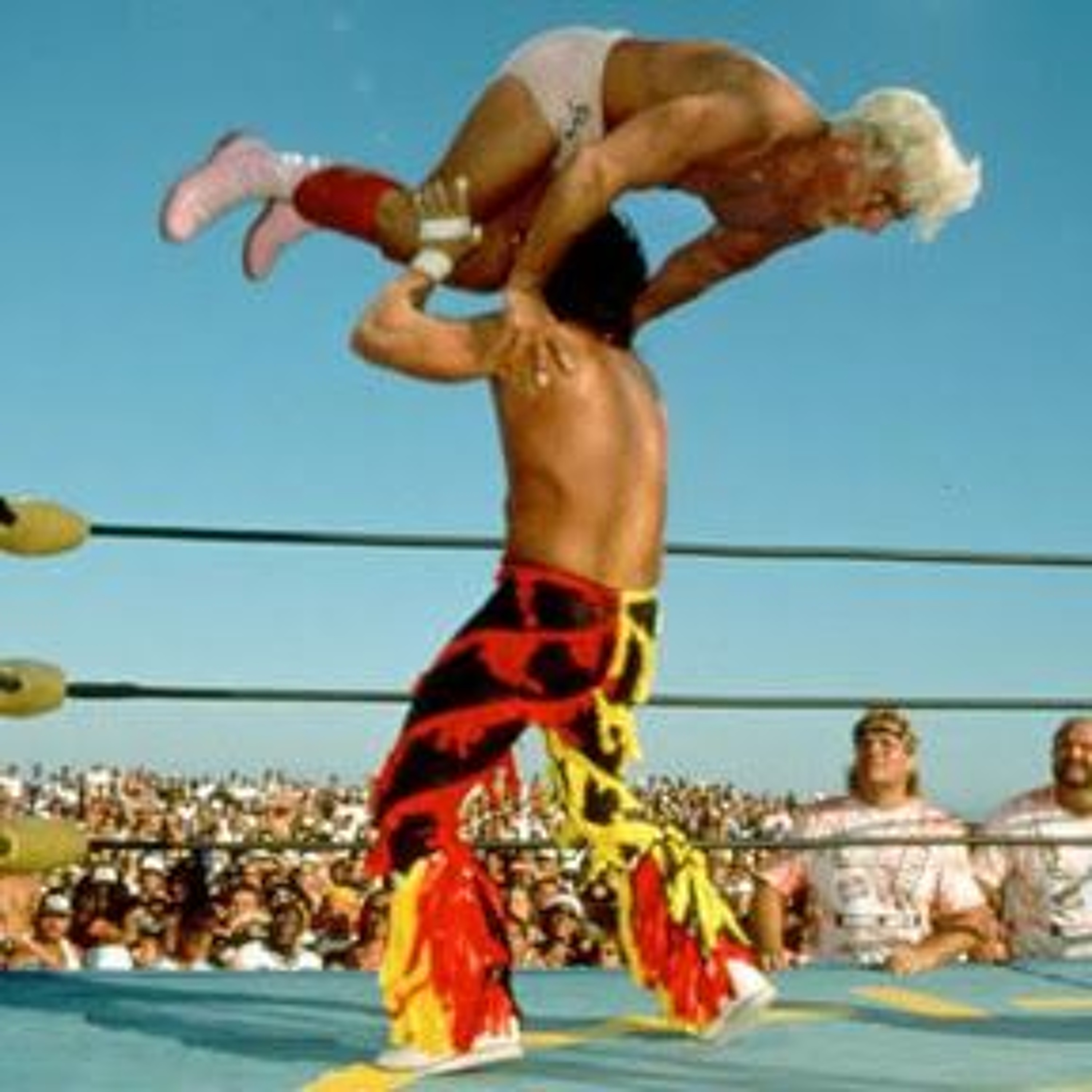 The Wrestlecube