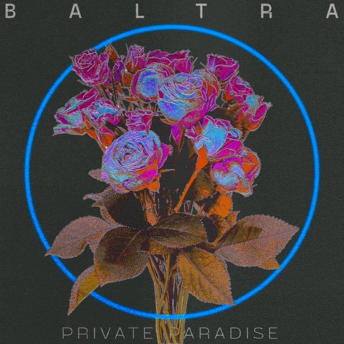 Private Paradise  (Extended Mix)